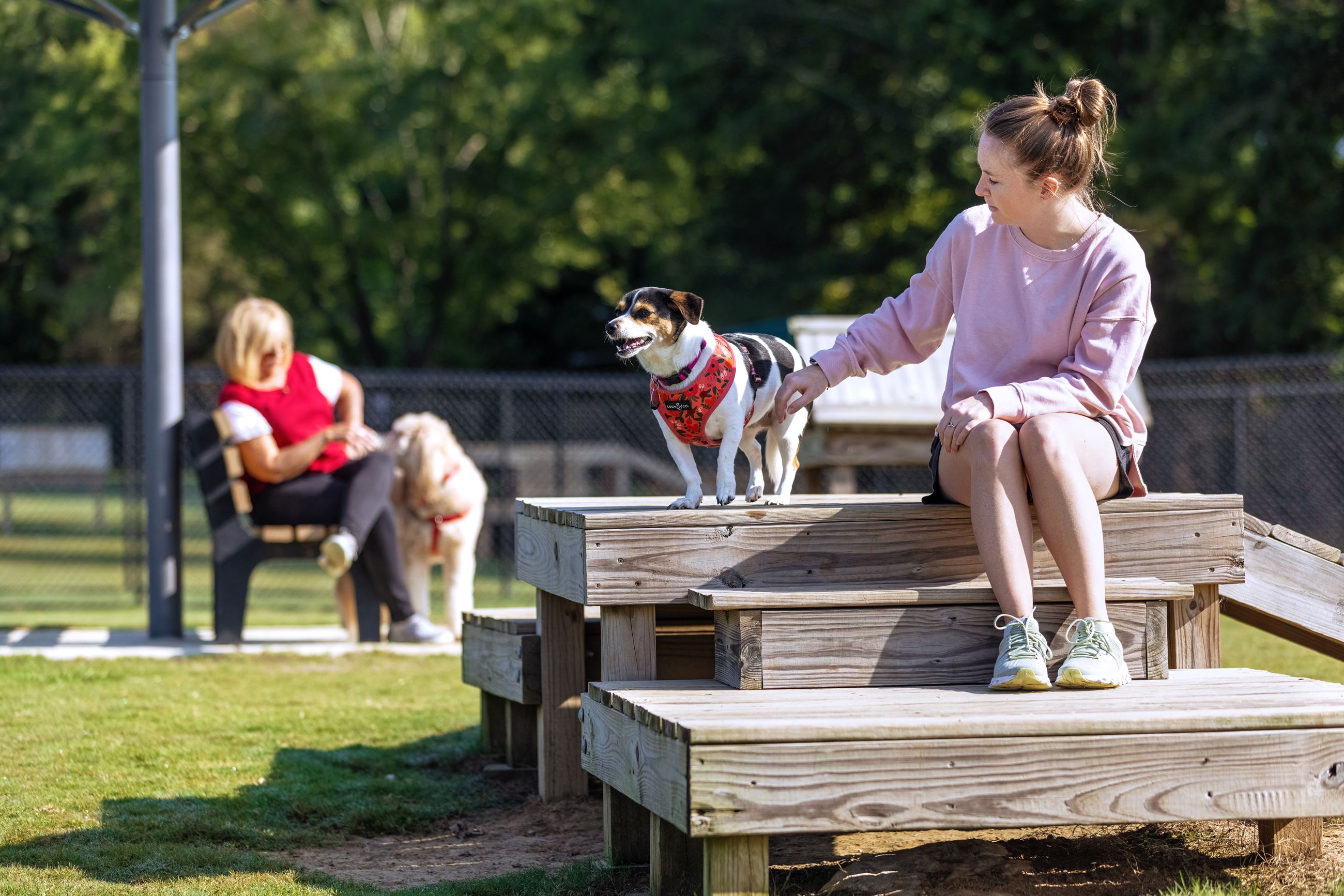 Women with dogs at the dog park