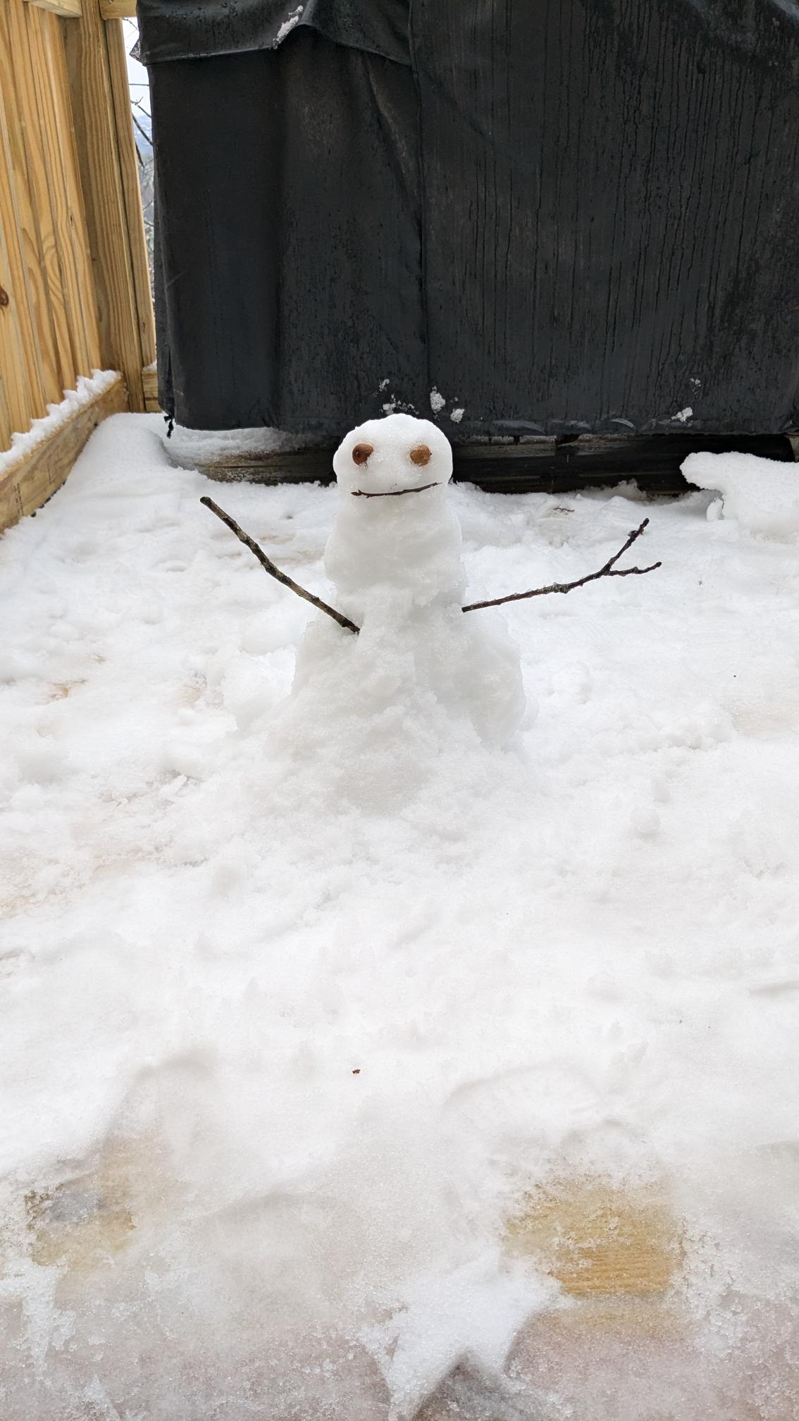 Snow Day in Pelham January 10, 2024