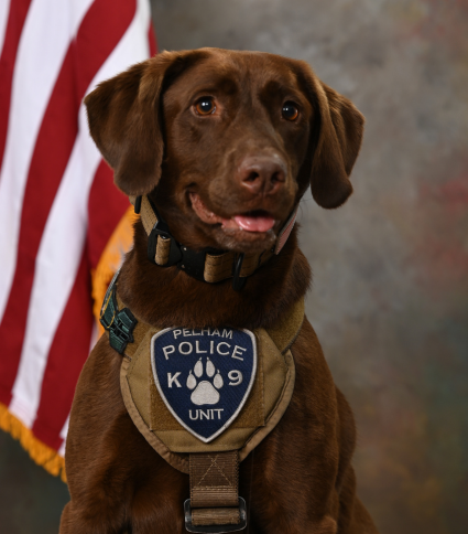 K9 Ripley