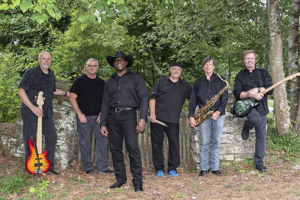 Image shows Black Sedan Band.